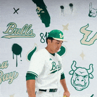 South Florida Baseball GIF by USF Athletics