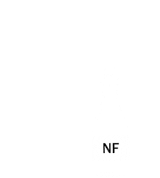 New Job Sticker by Noel Franklin