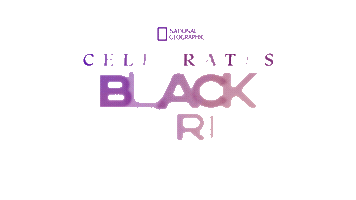 February Black History Month Sticker by HULU