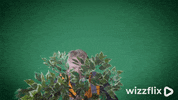 Wizzflix_ green good job forest leaves GIF