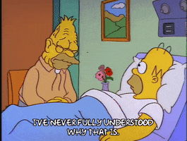 homer simpson regret GIF