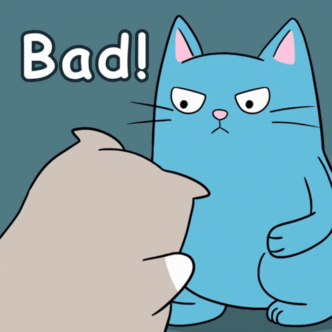 Angry Cat GIF