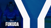 Soccer Goal GIF by Karlsruher SC