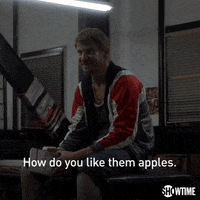 season 1 showtime GIF by Ray Donovan