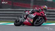 Pedro Acosta Shark GIF by MotoGP™