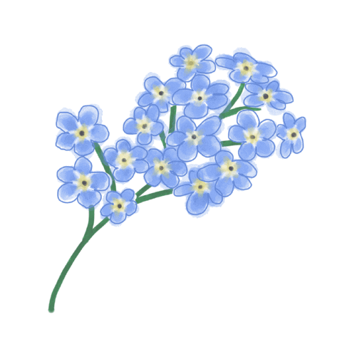 Forget-Me-Not Flower Sticker by Increase Creativity