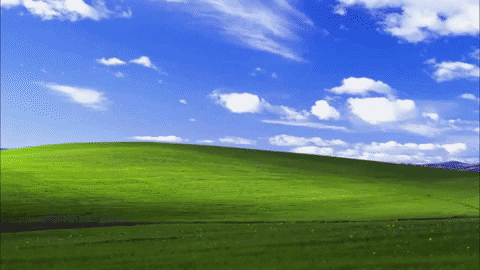 crazy_russian_diaries giphygifmaker meme windows microsoft GIF