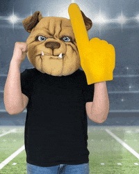 MUGRootBeer football dog yay cheer GIF