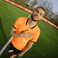 Ing Gakpo GIF by INGNederland