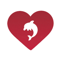 Sticker Graduacion Sticker by UGM-Centro