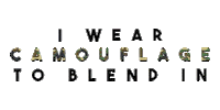 Camouflage Sticker by The Front Bottoms