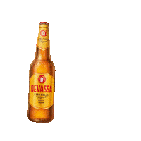 Criatividade Tropical Sticker by Cerveja Devassa