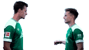 bro hello Sticker by SV Werder Bremen