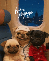 Bye Bye Travel GIF