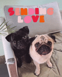 I Love You Valentine GIF