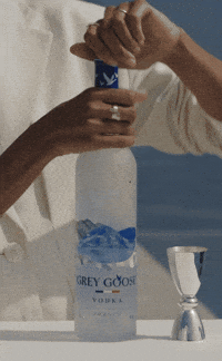 Excited Celebration GIF by GREY GOOSE® Vodka