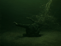 Enbathome GIF by English National Ballet