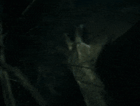 Enbathome GIF by English National Ballet