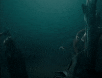 Enbathome GIF by English National Ballet