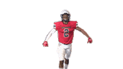 Spiderfootball Sticker by Richmond Spiders