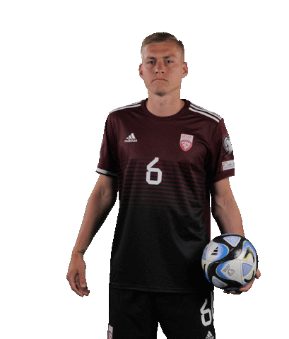 Football Swinging Sticker by Latvijas Futbola Federācija