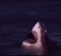 Man Men GIF