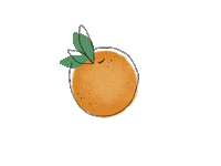 jennywakeandbake orange citrus jennywakeandbake Sticker