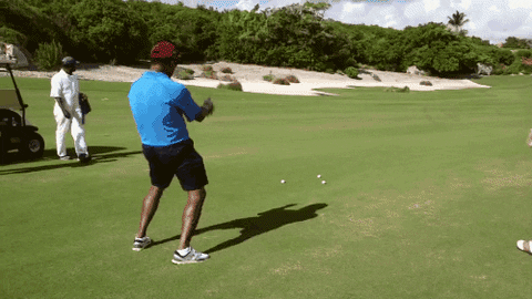 GIF by Giffffr