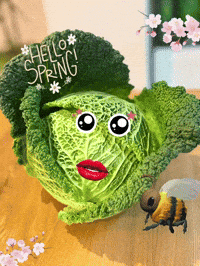 Spring Sonne GIF
