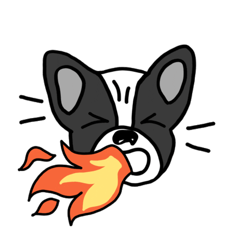 happy fun Sticker by Ivo Adventures