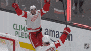 Happy Red Wings GIF by NHL