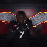 College Football Sport GIF by Louisville Cardinals