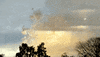 fallas valencia GIF by For 91 Days