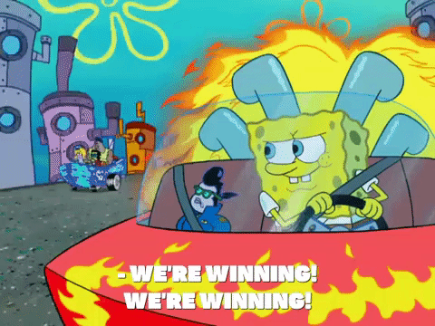 season 8 GIF by SpongeBob SquarePants