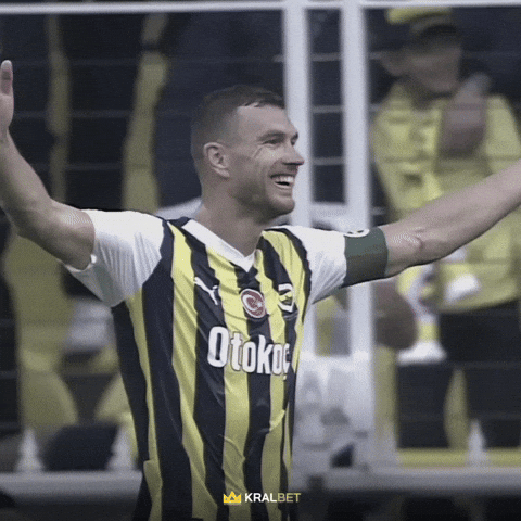 Edin Dzeko GIF by Fenerbahçe