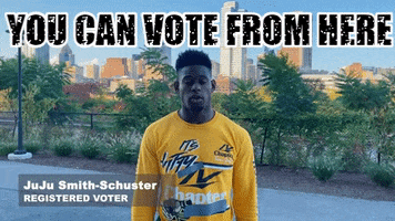 Red2Blue vote voting pittsburgh voter GIF