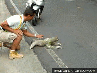 ours GIF