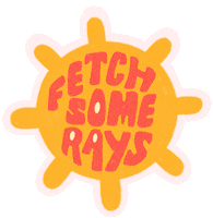 Dog Fetch Sticker by Ollie Social