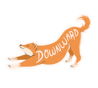 Dog Fetch Sticker by Ollie Social