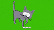 cat pissing GIF by South Park 