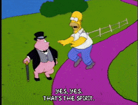 homer simpson x GIF