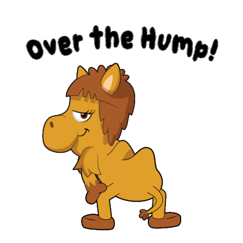 Stay Motivated Wednesday Morning Sticker by VeeFriends