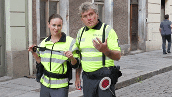 ceska_televize omg ceskatelevize stardance stardancecz GIF