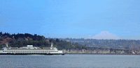 washington seattle GIF