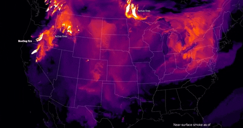 pomeranian99 giphygifgrabber weather climate GIF