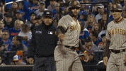 Mlb Postseason Baseball GIF by MLB