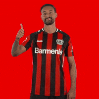 I Like Yes GIF by Bayer 04 Leverkusen