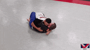Ufc Hug GIF