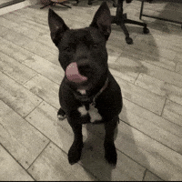 Hungry Love It GIF