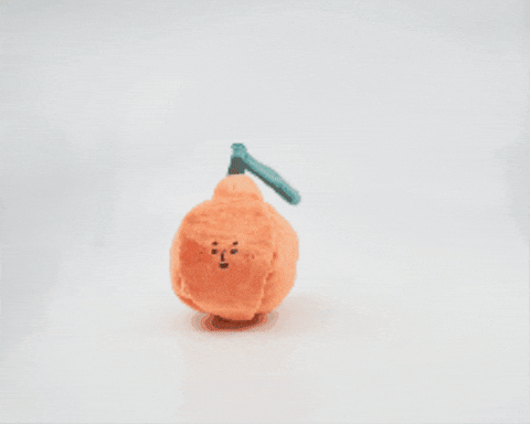 thefurryfolks giphygifmaker orange the furryfolks GIF